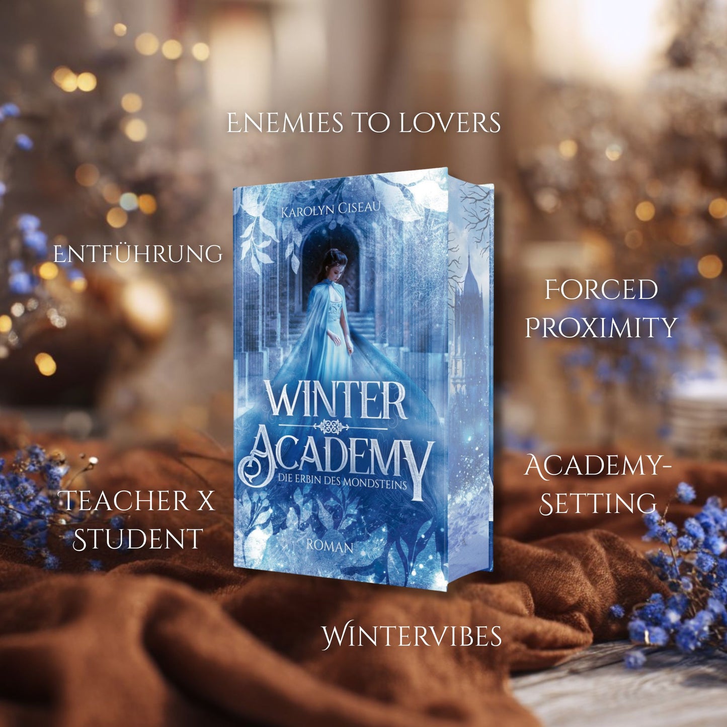 Winter Academy. Die Erbin des Mondsteins