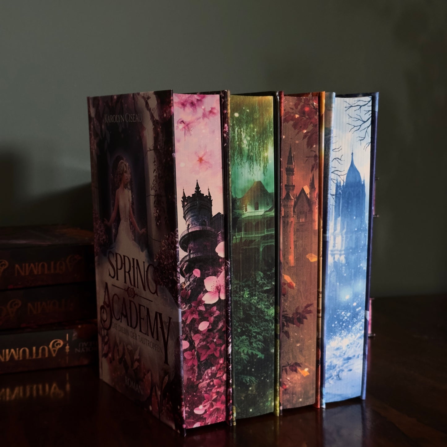 Das große Jahreszeiten-Bundle – Alle vier Academy-Romane